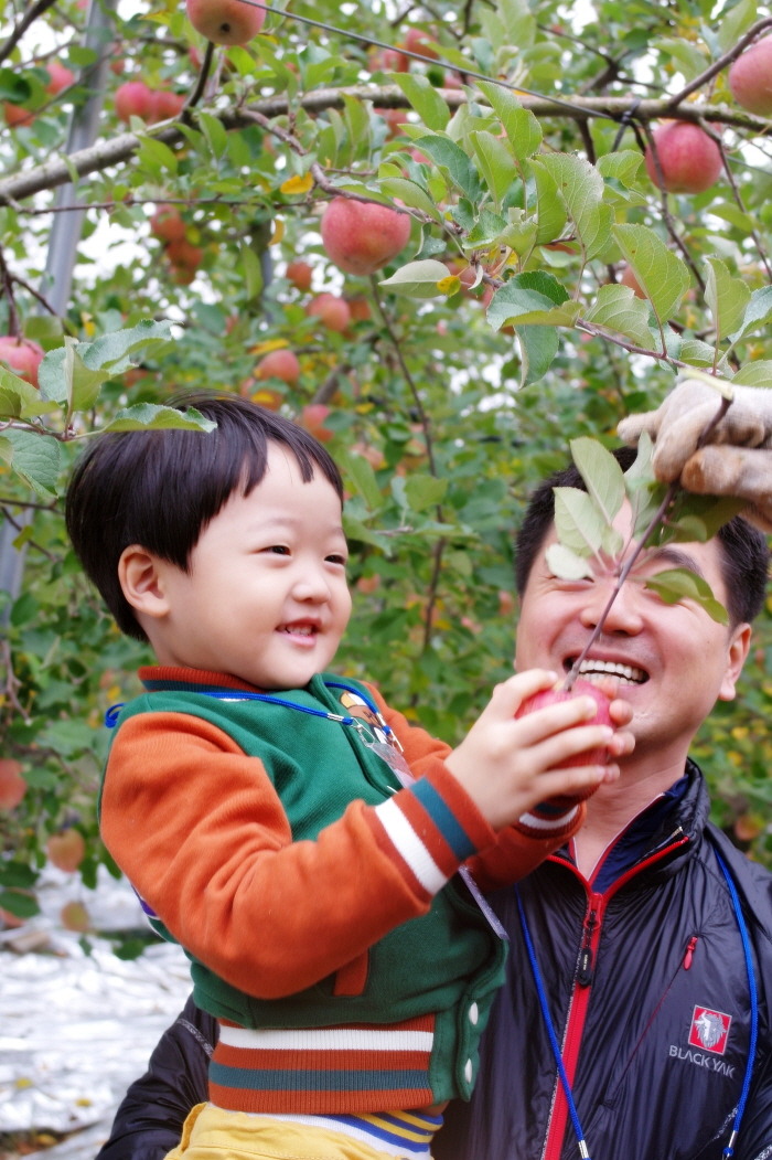 세현마트 이미지