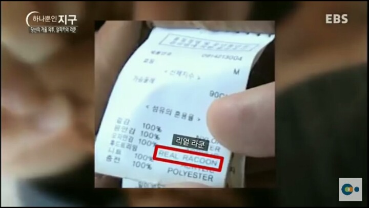 당신이 입고있는 따뜻한 겨울외투의 진실 (동물피 주의) | 인스티즈