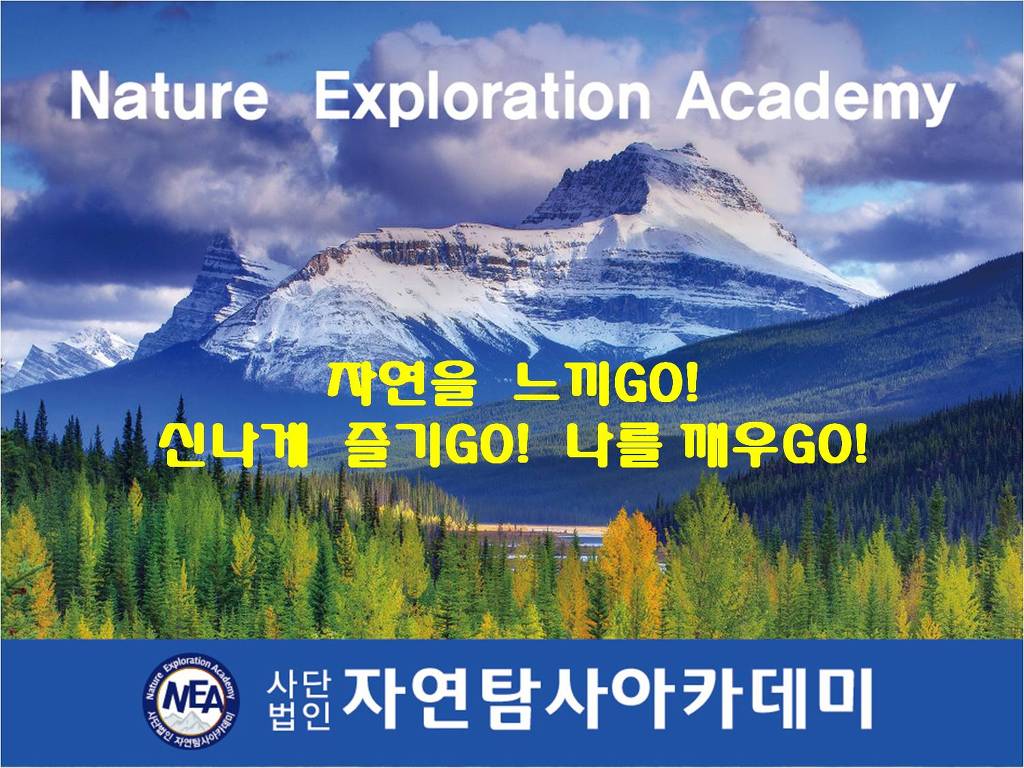 자연탐사아카데미 이미지