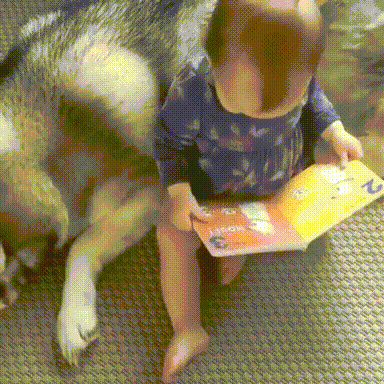 야 이거봐 너 나왔어.gif | 인스티즈