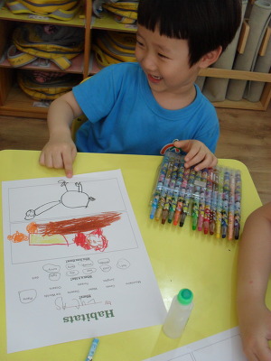 아델반 이미지