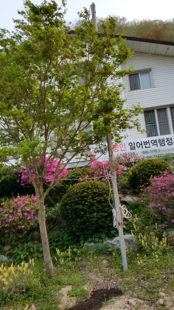 하얀집민박 이미지