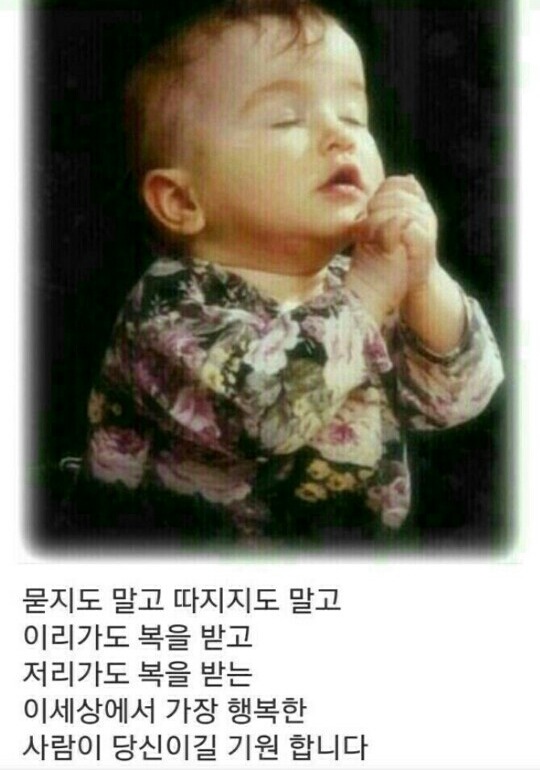 욜로 이미지