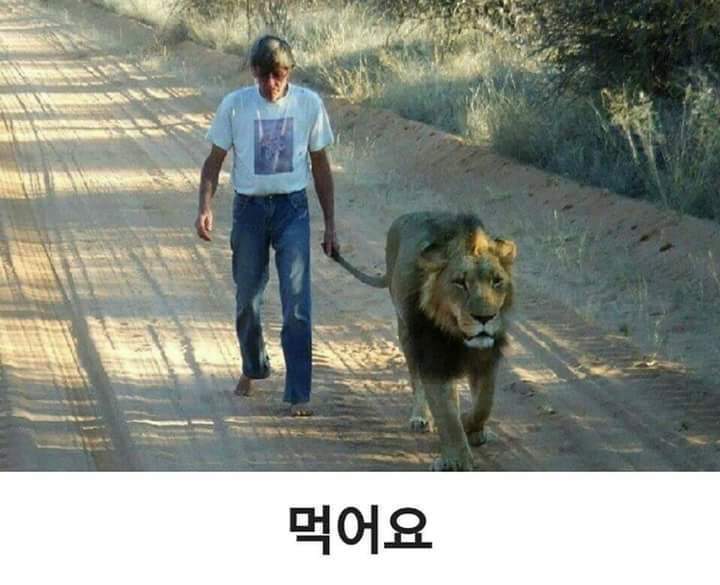 우리애는 어요.. | 인스티즈