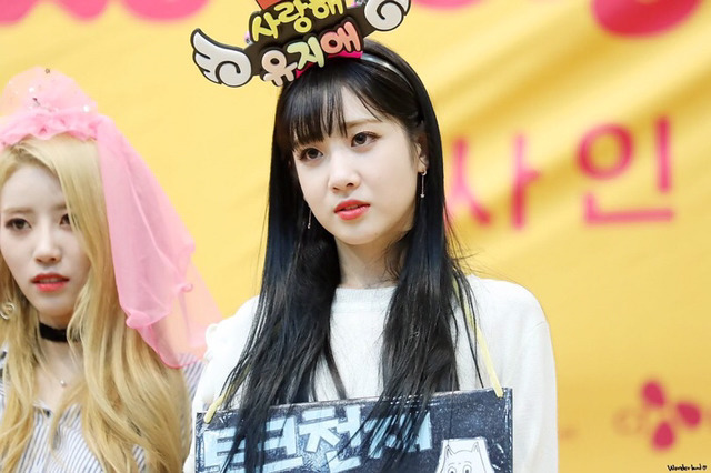 [러블리즈] 고양이가 다시 건깅해져서 유지애 | 인스티즈