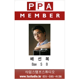 배선복 이미지