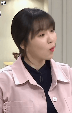 비정상회담 나온 완이 웬디 & 슬기 | 인스티즈
