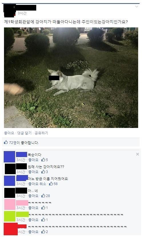 주제없지만 짱웃긴 짤 모음 | 인스티즈
