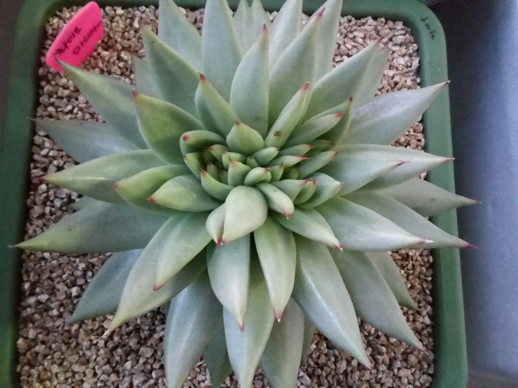 마리아유통 이미지