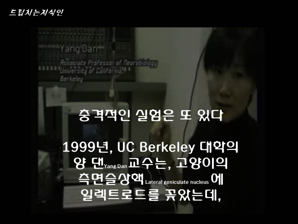 어마어마한 일들을 하고 있는 첨단 뇌공학 | 인스티즈