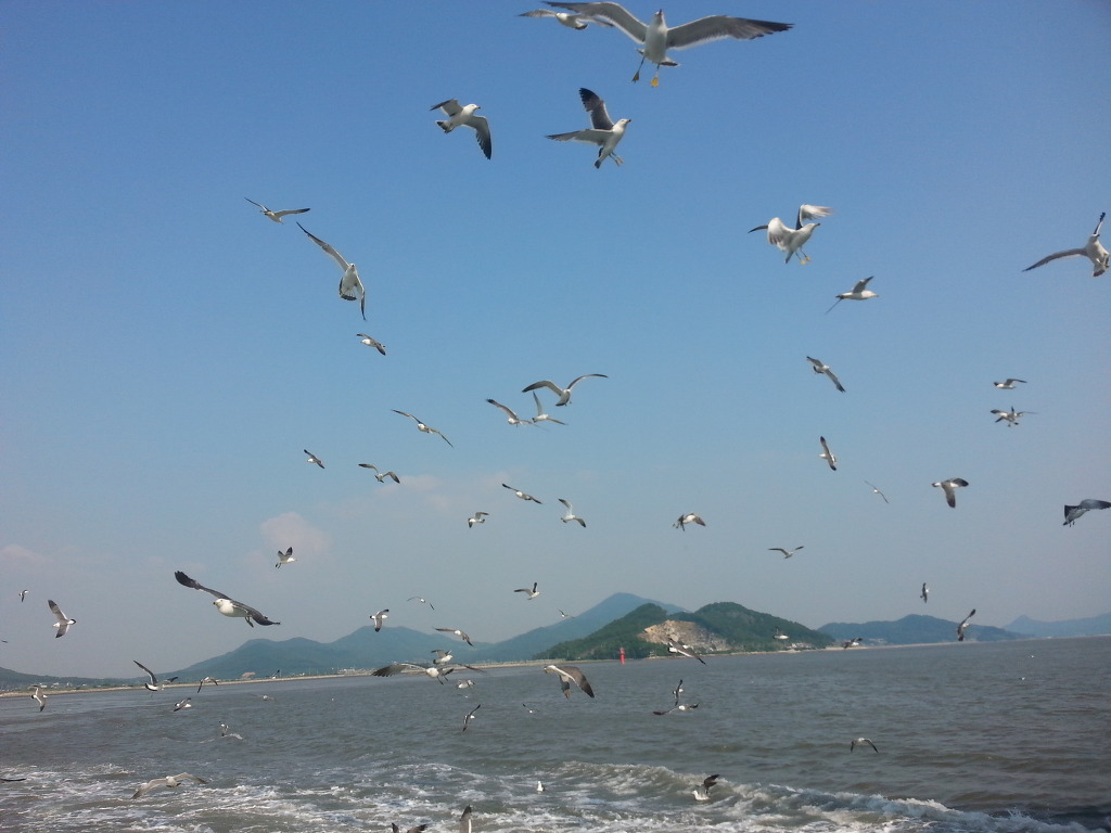 바론 이미지