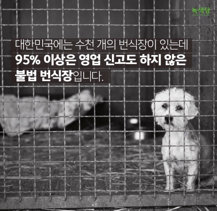 강아지는 귀여워서 사는 인형이 아닙니다.jpg +강아지 입양시 주의 | 인스티즈