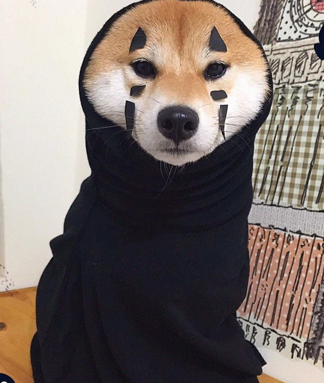 개오나시 | 인스티즈