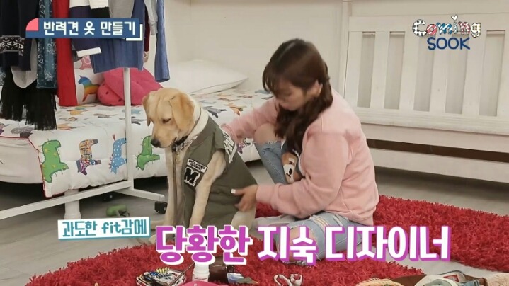 강아지 옷 만드는 지숙.jpg | 인스티즈