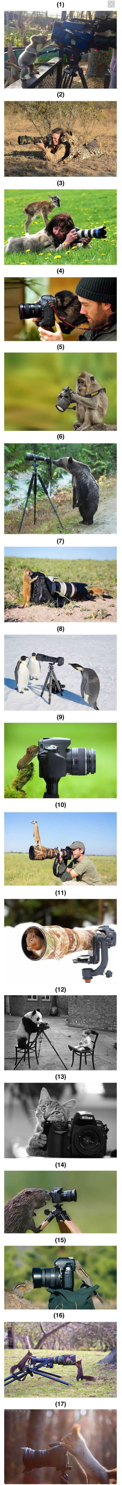 전부 짜고 치는걸로 밝혀진 다큐... (충격) | 인스티즈