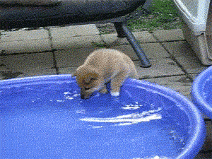 캬 역시 이맛이지.gif | 인스티즈