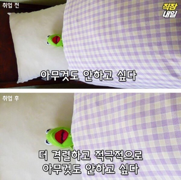 직장인이 되기 전/후 | 인스티즈