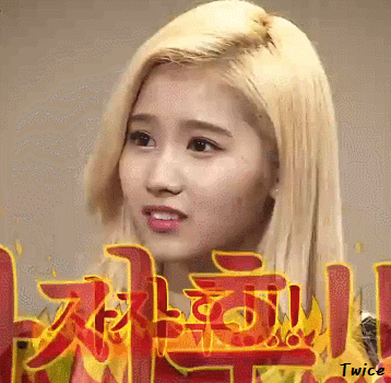 놀라는 사나도 탱. 샤샤샤 | 인스티즈