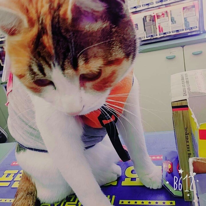 어린 나이에 편의점 점장도 되고....부럽네요 | 인스티즈