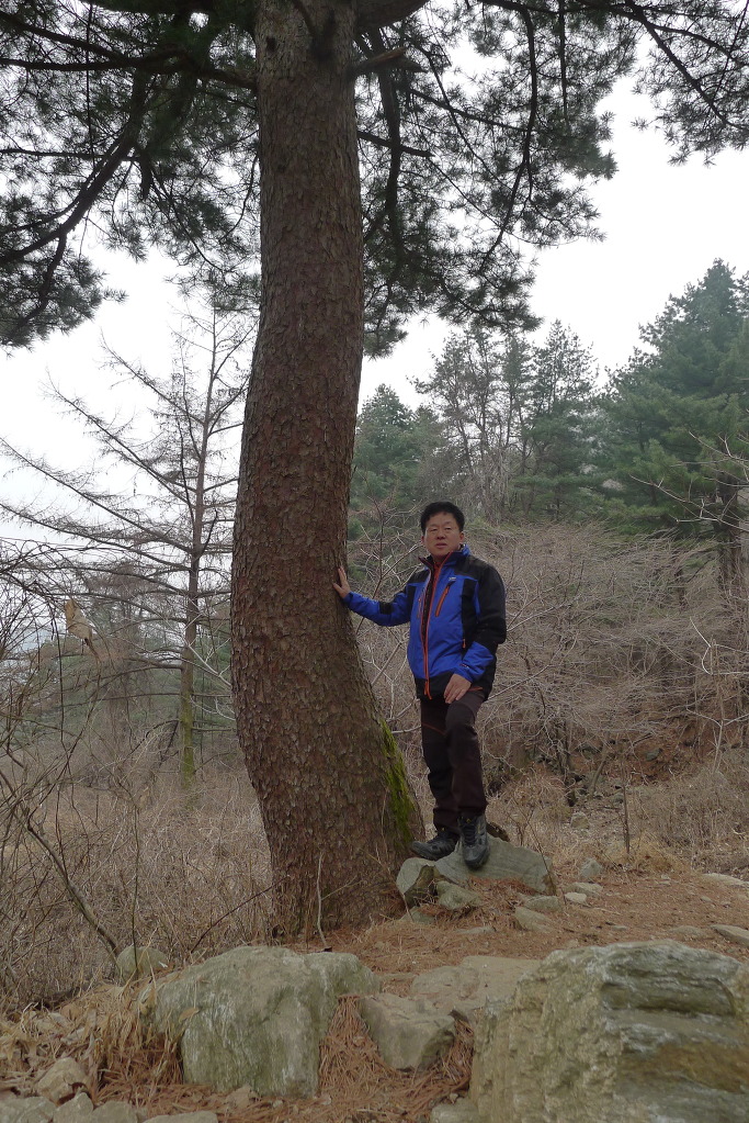 경춘짜장 이미지