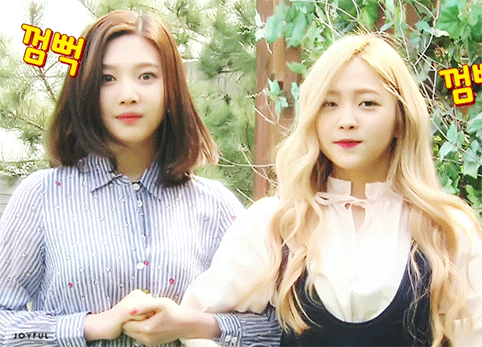 오늘자 레드벨벳 막내즈.gif | 인스티즈