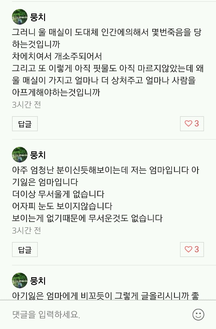 피해자만 고통받고 상처받고 괴로워야하는 이상한 나라에서 저는 피해자가 되었습니다(매실이이야기) | 인스티즈