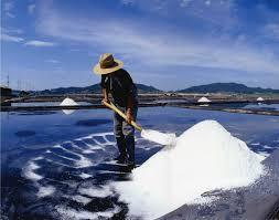 소금의 유통기한은? | 인스티즈