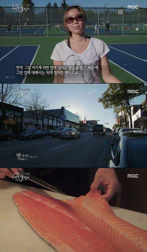 한국의 취업난때문에 외국으로 나가는 청년들 | 인스티즈