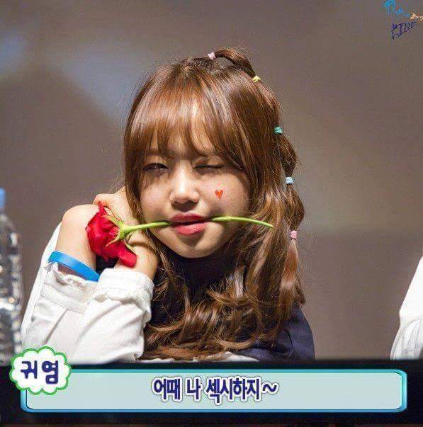 아이오아이 최유정 vs 김세정 섹시대결 | 인스티즈