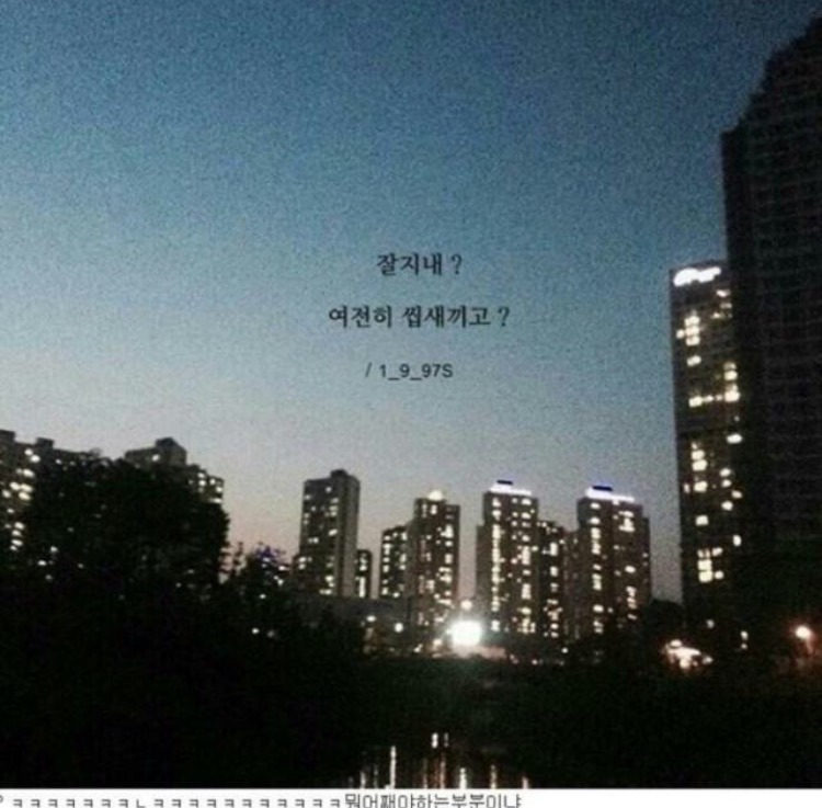 진여헤어 이미지