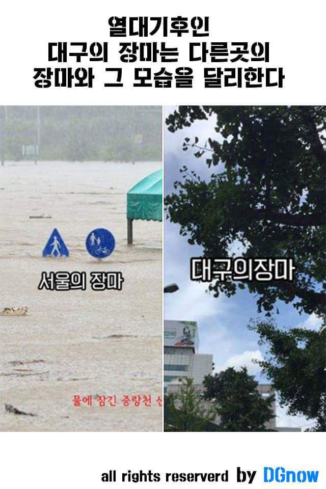 다른지역사람들은 잘 모르는 대구의 특이점들을 모아보았다 | 인스티즈