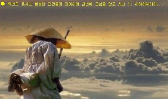아리아리 이미지