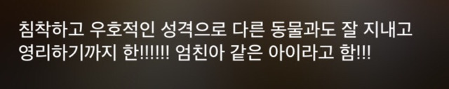 특이한 곳에 털이 자라는 까칠한 매력의 고양이 | 인스티즈