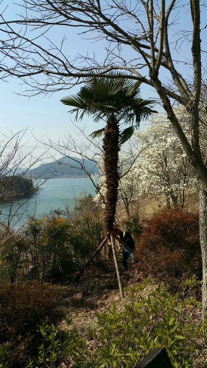 강산농원 이미지