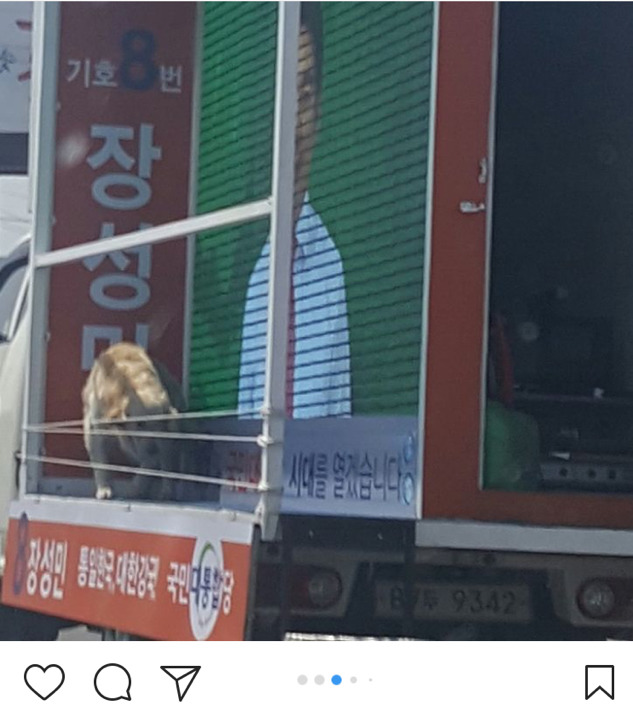 국민 대통합당 대선후보 유세 트럭 동물학대 의심 현장 | 인스티즈