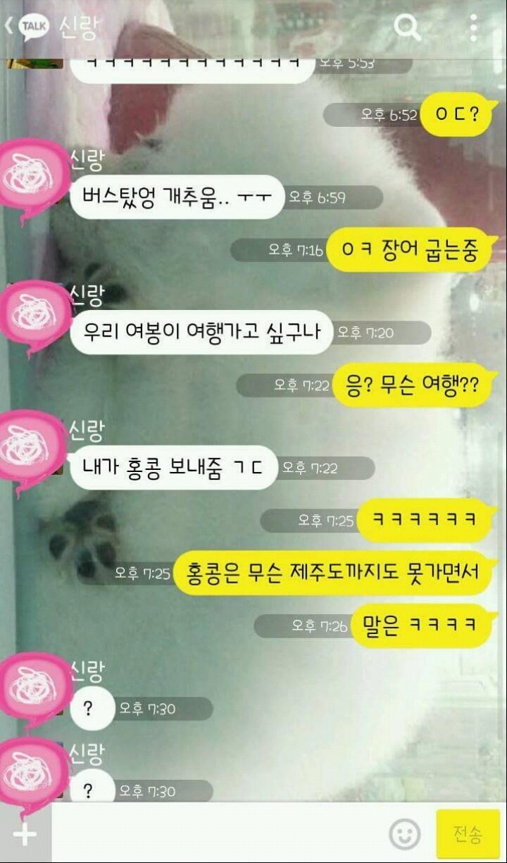 제주도도 못가는 신랑 | 인스티즈