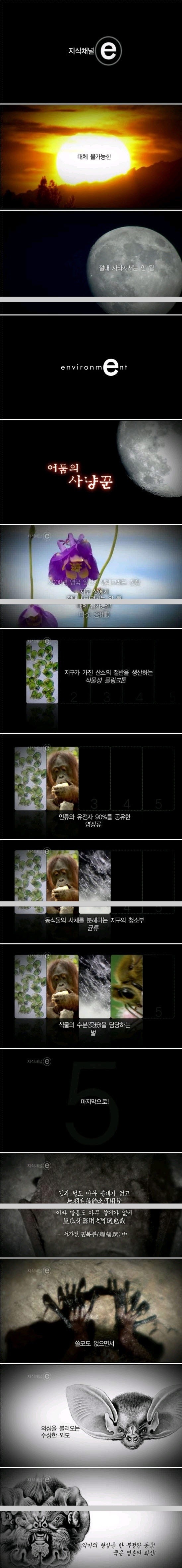 지구상에서 없어지면 안 되는 생물 | 인스티즈