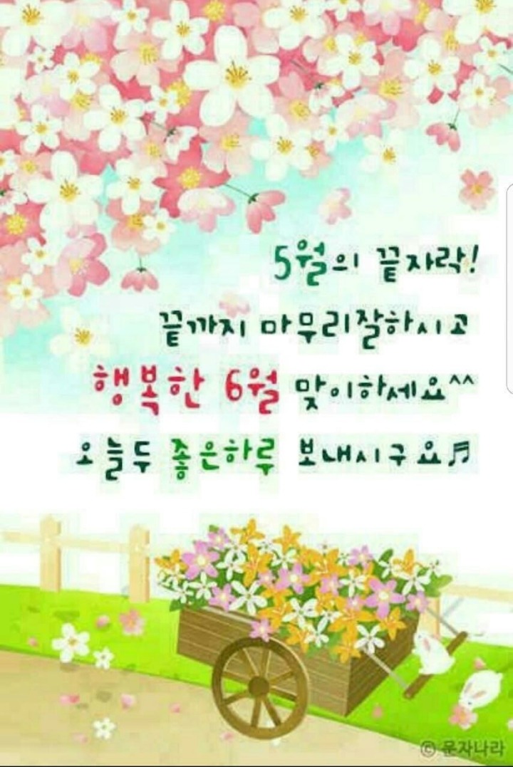 늘처음처럼 이미지