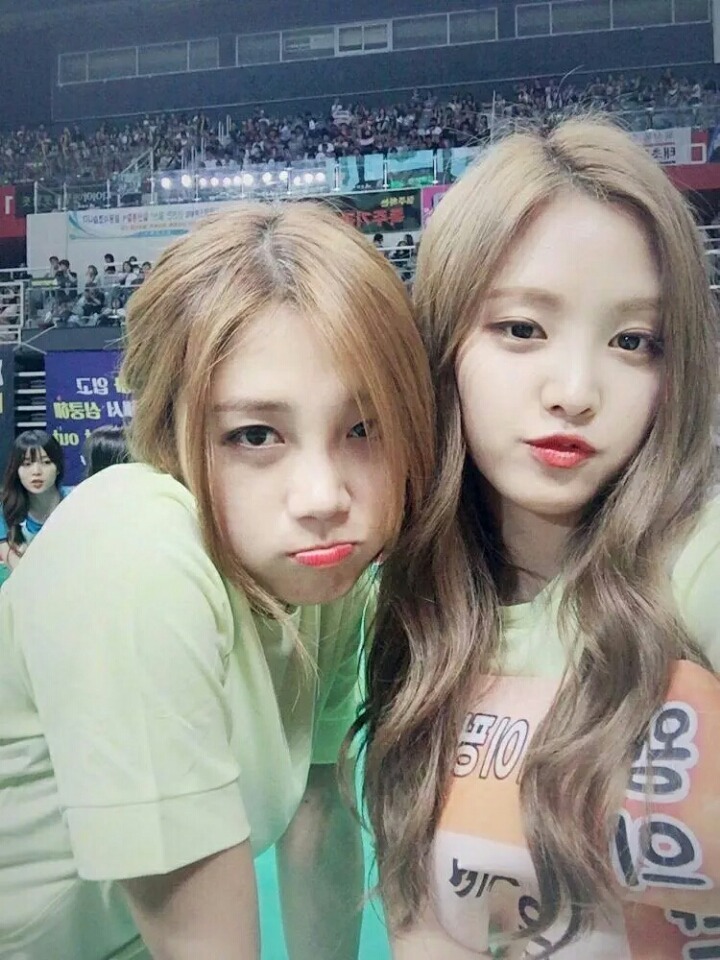 수능 대박 기원 에이핑크.jpgif | 인스티즈