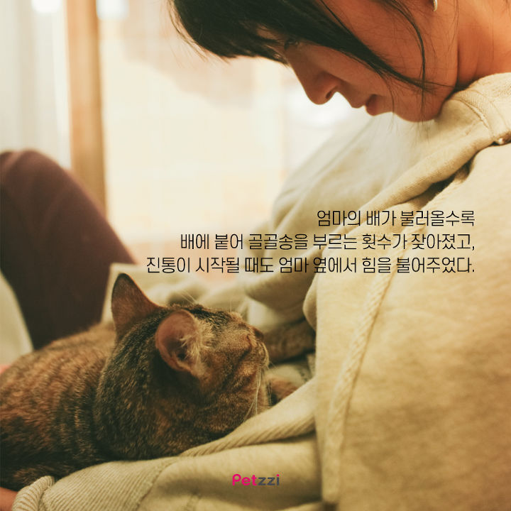 아기와 고양이의 교감 | 인스티즈