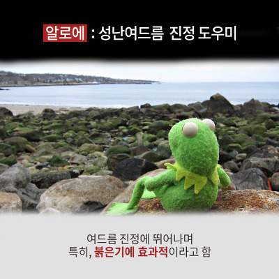 엘모가 말하는 여드름 박멸하는 4가지 방법 (심장어택주의) | 인스티즈