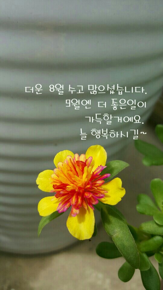 난 이미지