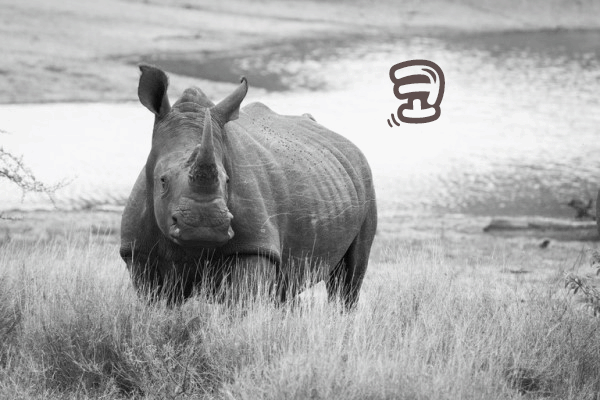 기증한 피아노에서 이것이 무더기로 쏟아졌다 ㄷㄷㄷ | 인스티즈
