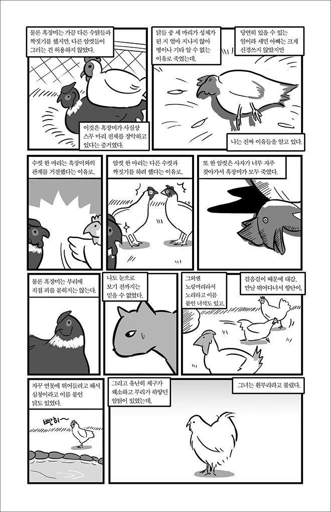 묘생만경 | 인스티즈