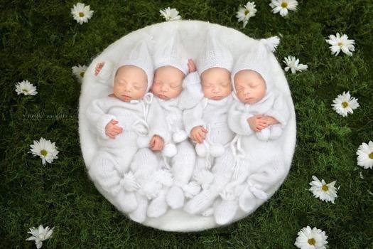 캐나다에서 태어난 일란성 네쌍둥이 | 인스티즈