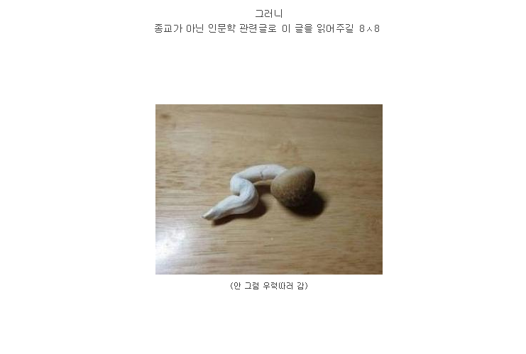 김연아가 생불인 이유.real (feat. 불교/모바일 데이터 주의) | 인스티즈