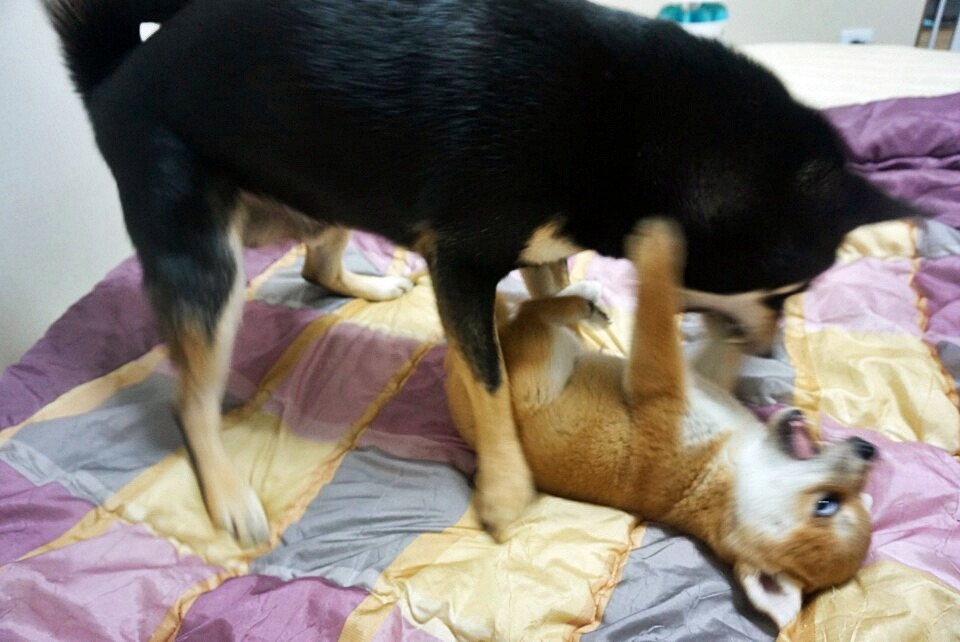 봉자 이미지