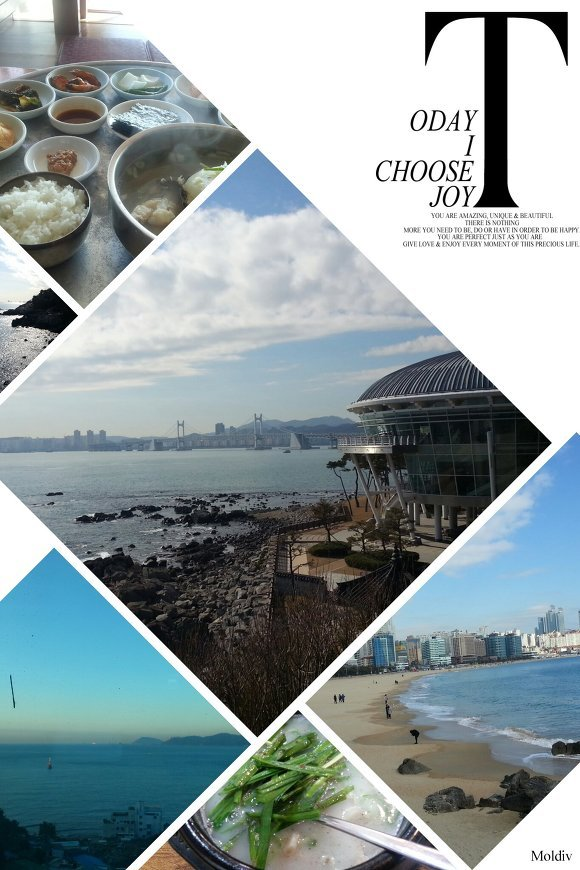 서울 아재의 인천 앞바다에 사이다가 떠 있어도 컵 없이 마실 수 있는지 알아보는 여행기 | 인스티즈