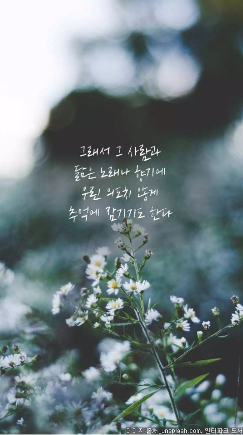  진하게 사랑했던 사람이 문득 떠오르는 이유 | 인스티즈