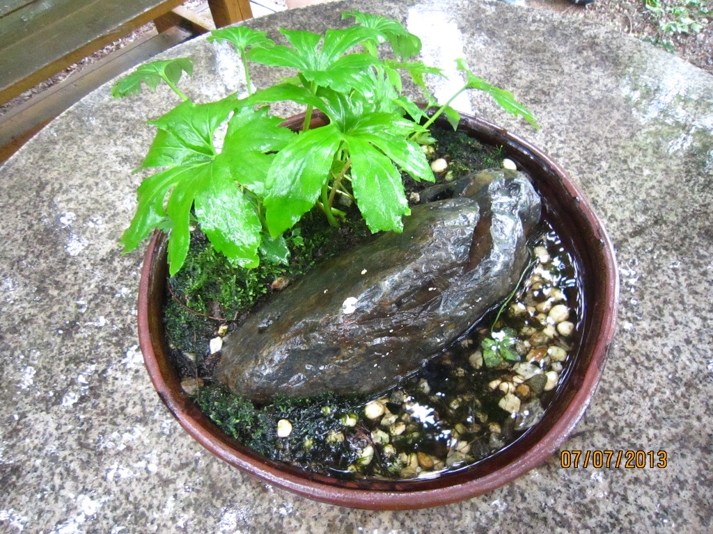 한우마당 이미지